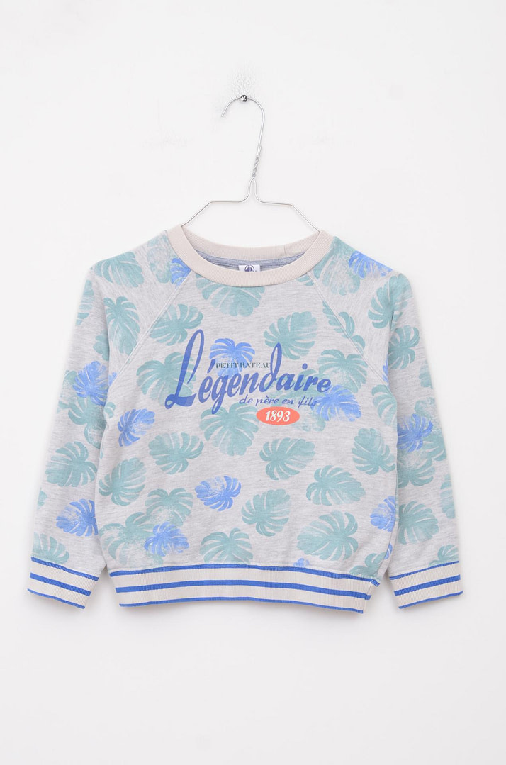 loopery-A-25-14775 Sweat - 6 ans <span class="lp-brand-title"> PETIT BATEAU </span> - Afbeelding 1