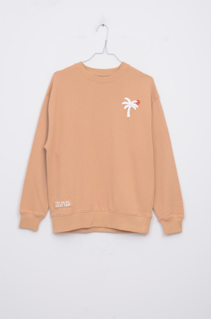 loopery-A-26-1041 Sweat - 11/12 ans <span class="lp-brand-title"> ZARA </span> – Image 1