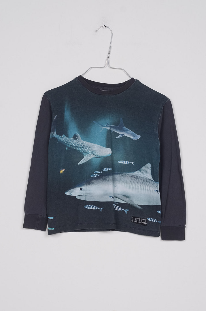 roze-chips-25-00925 T-shirt - 6ans <span class="pc-brand-title">MOLO</span> - Afbeelding 1