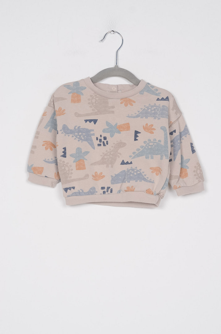 pinky-chips-25-02170 Sweat - 9mois <span class="pc-brand-title">LA REDOUTE</span> - Afbeelding 1