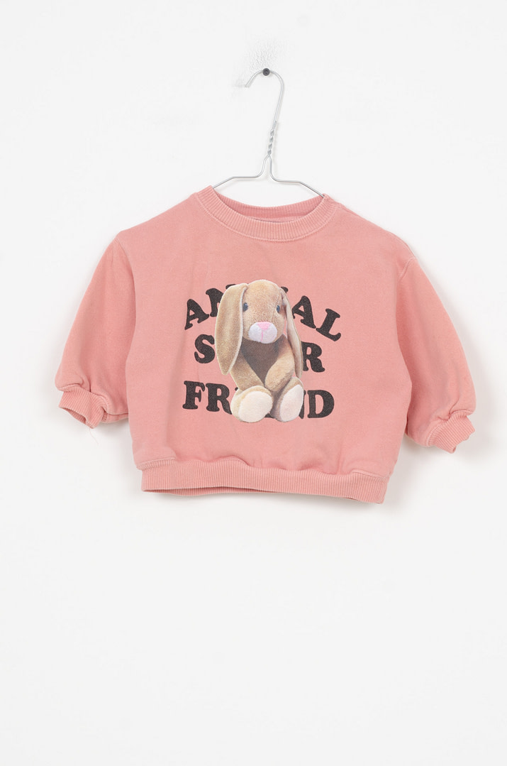pinky-chips-24-00095 Sweat - 9/12mois – Image 1