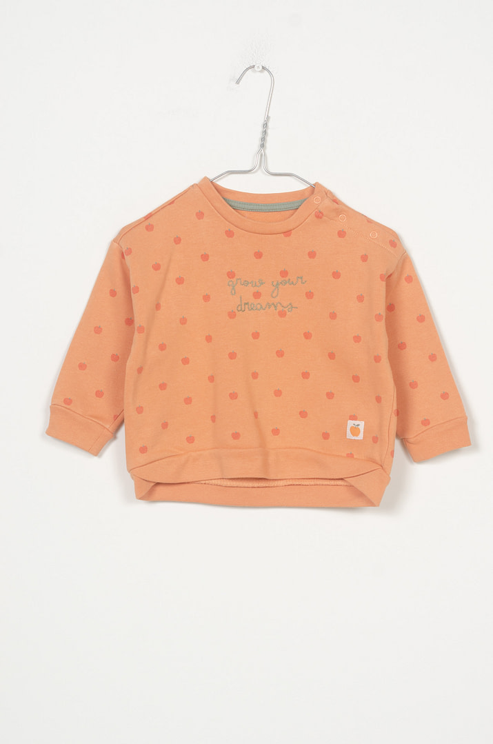 pinky-chips-24-12019 Sweat - 12/18mois - Afbeelding 1