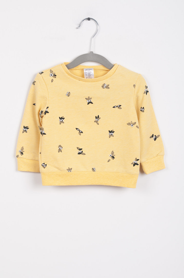 pinky-chips-11134 Sweat - 12mois - Afbeelding 1